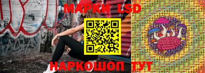СК Конаково