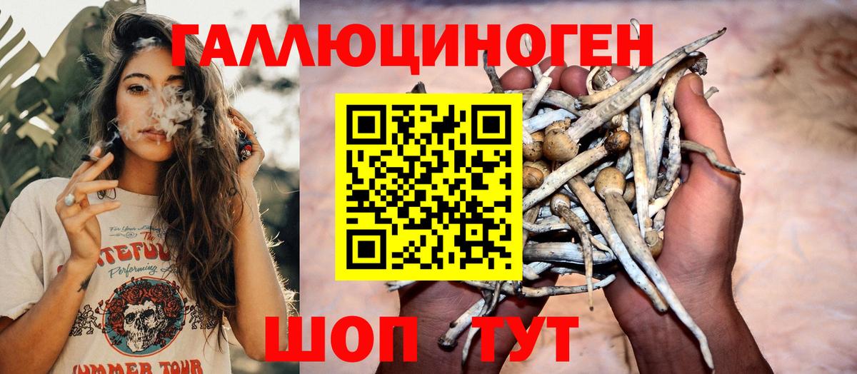Топки  где продают наркотики  Вход с VPN  Псилоцибиновые грибы GOLDEN TEACHER  Псилоцибиновые грибы ЛСД 