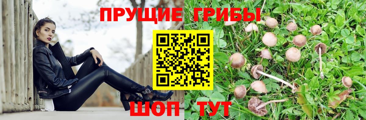 Галлюциногенные грибы MAGIC MUSHROOMS Топки